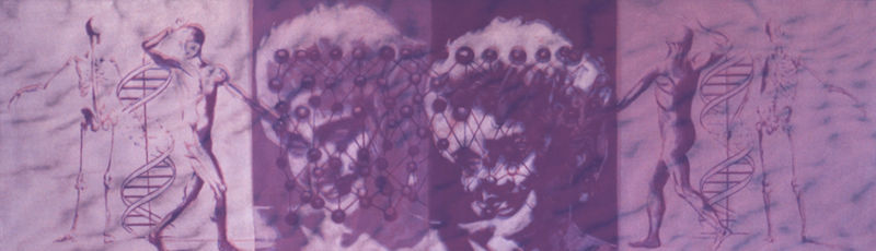 email address and mob phone number.